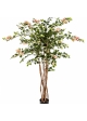 5' BOUGAINVILLEA NITIDA 150 cm