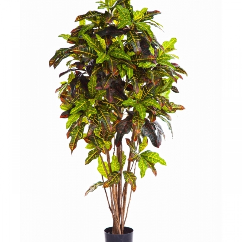 5' FLAME RETARDANT CROTON BUSH TREE 150 cm