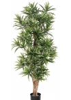 5' FLAME RETARDANT DRACAENA REFLEXA 150-180 cm