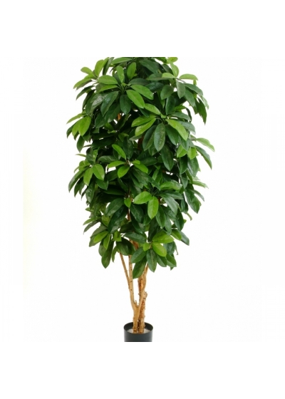 5' FLAME RETARDANT LADY SCHEFFLERA TREE 140-170 cm
