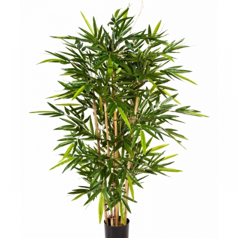 5' FLAME RETARDANT NEW BAMBOO TREE 150-210 cm
