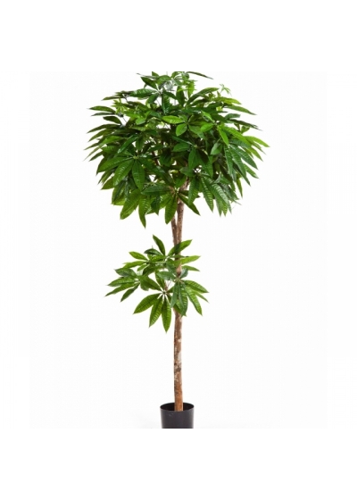 5' FLAME RETARDANT PACHIRA TREE 180 cm