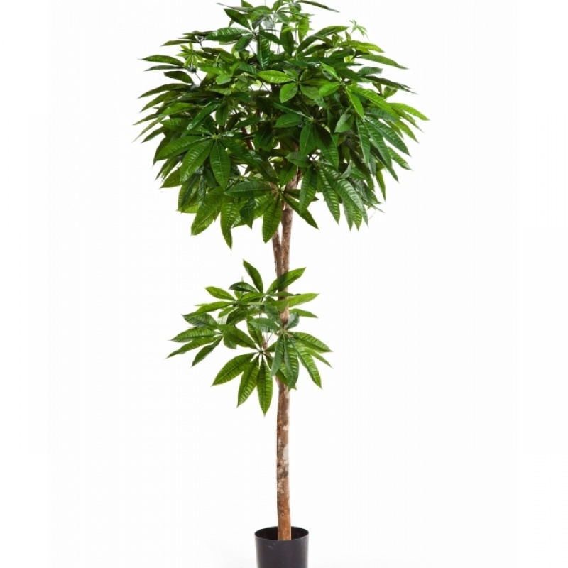 5' FLAME RETARDANT PACHIRA TREE 180 cm