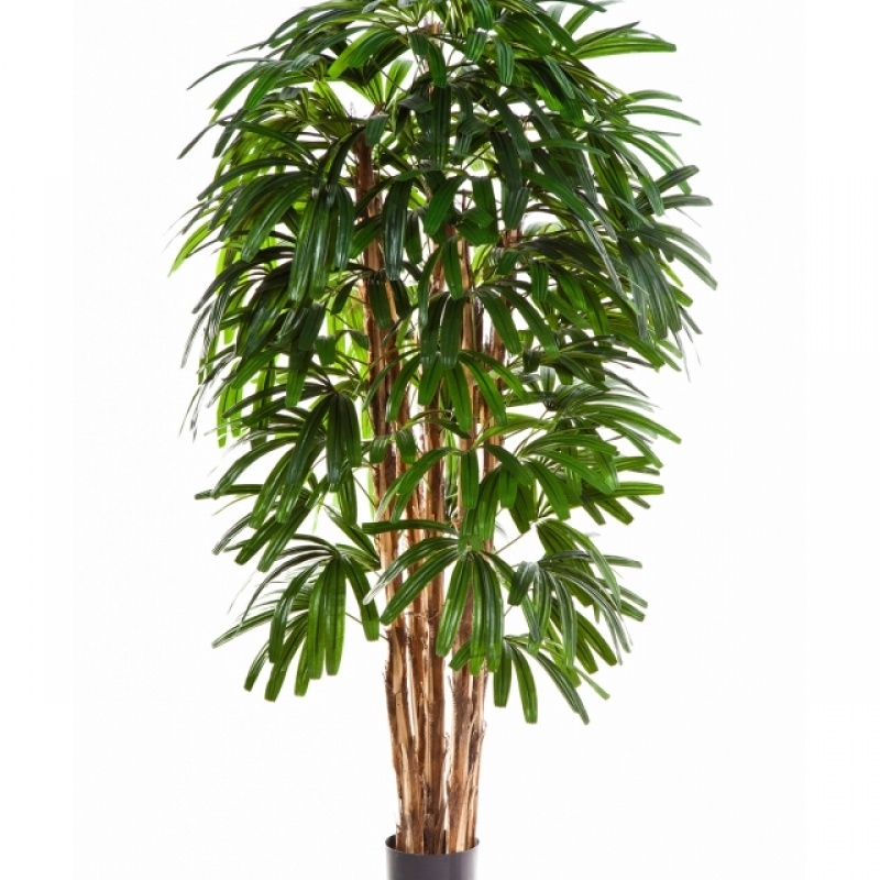 5' FLAME RETARDANT RAPHIS PALM TREE 150-180 cm