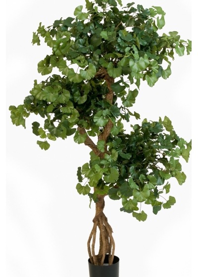 5' FLAME RETARDANT SWEET GINGKO ON CRAZY TRUNK 145 cm