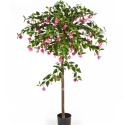 5\' FUCHSIA UMBRELLA TREE 140 cm