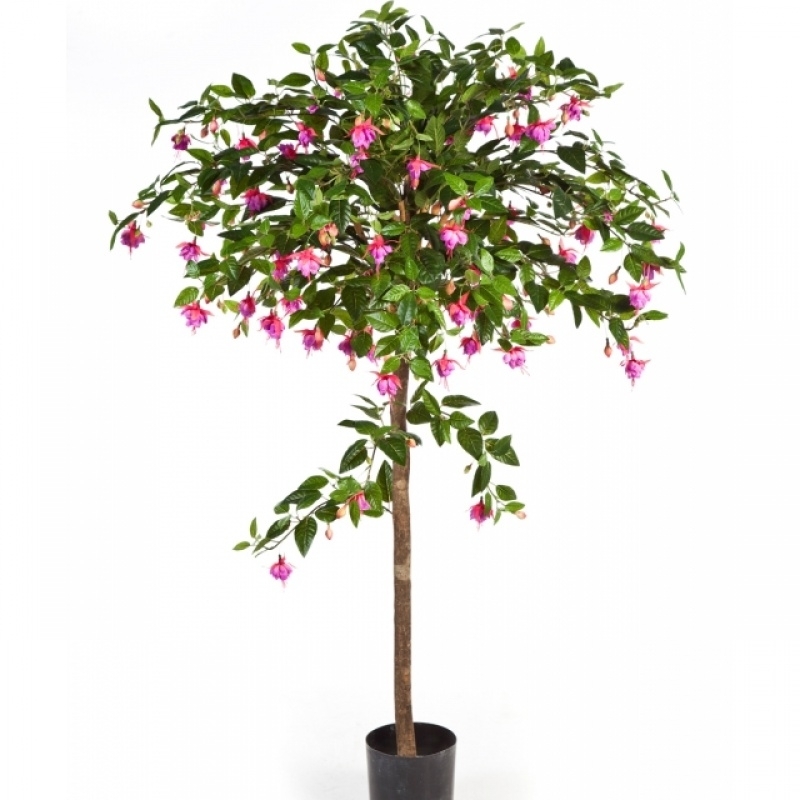 5' FUCHSIA UMBRELLA TREE 140 cm