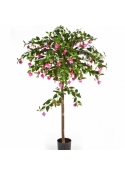 5' FUCHSIA UMBRELLA TREE 140 cm