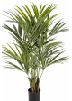5' Flame Retardant Natural Kentia Palm de Luxe 140 cm