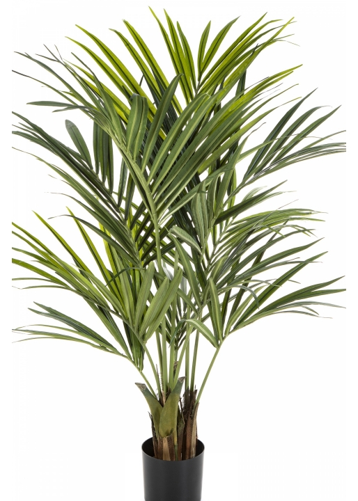 5' Flame Retardant Natural Kentia Palm de Luxe 140 cm
