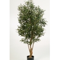 5\' Flame Retardant Natural Twisted Olive Tree w/fruits 150-180 cm
