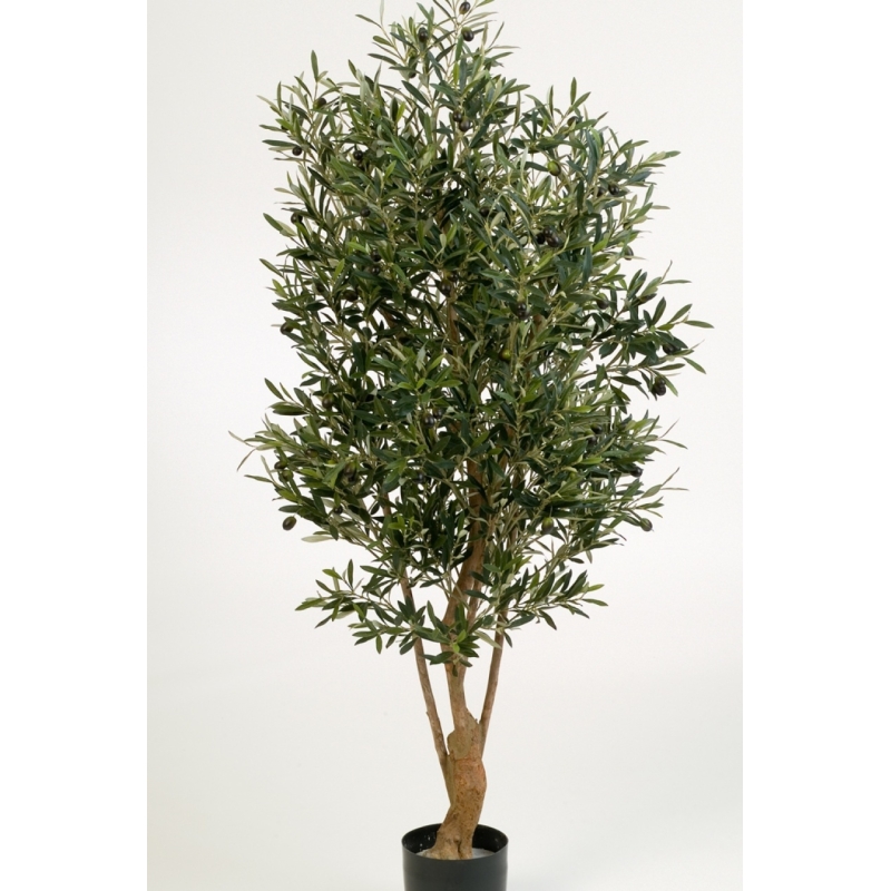 5' Flame Retardant Natural Twisted Olive Tree w/fruits 150-180 cm