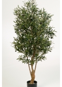 5' Flame Retardant Natural Twisted Olive Tree w/fruits 150-180 cm