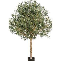 5' NATURAL OLIVE TOPIARY TREE WITH FRUITS 150-210 cm