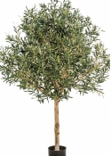 5' NATURAL OLIVE TOPIARY TREE WITH FRUITS 150-210 cm