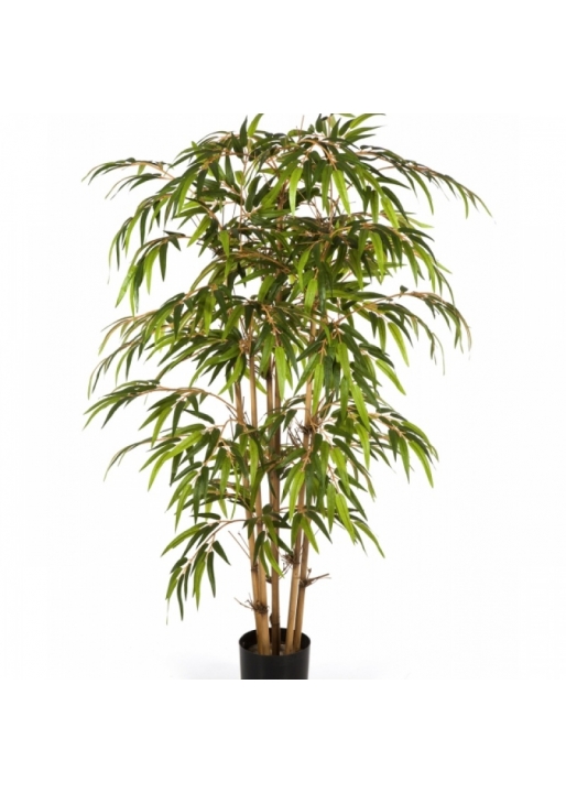 5' NEW GIANT BAMBOO 150-270 cm