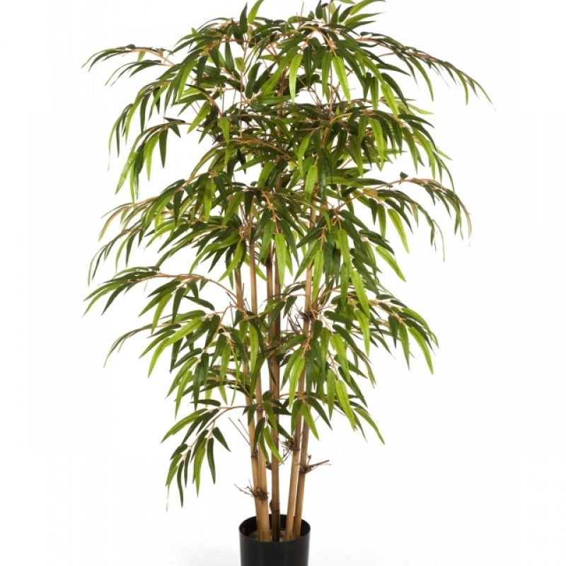 5' NEW NATURAL BAMBOO TREE 150-300 cm