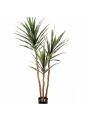 5' Yucca Tree De Luxe x 3 160 cm