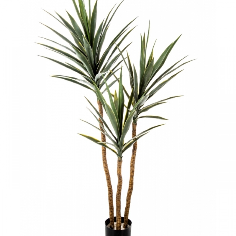 5' Yucca Tree De Luxe x 3 160 cm