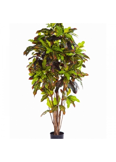 6' FLAME RETARDANT CROTON TREE 180 cm