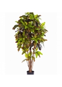 6' FLAME RETARDANT CROTON TREE 180 cm