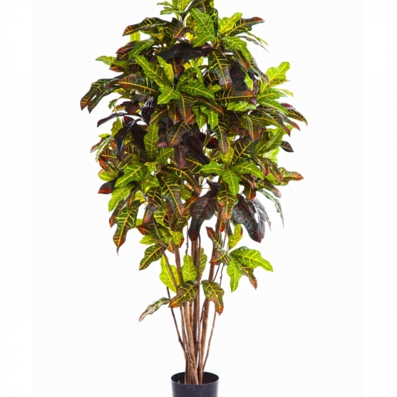 6' FLAME RETARDANT CROTON TREE 180 cm