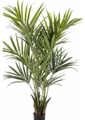 6' Flame Retardant Kentia Palm de Luxe 172-225 cm