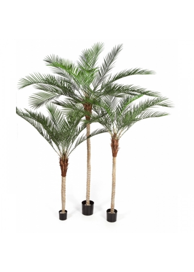 6' PHOENIX PALM WITH PLASTIC LEAF 180 cm