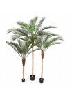 6' PHOENIX PALM WITH PLASTIC LEAF 180 cm