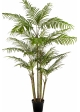 7' Bamboo Palm 215 cm