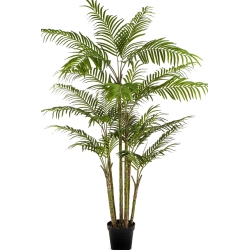 7' Bamboo Palm 215 cm