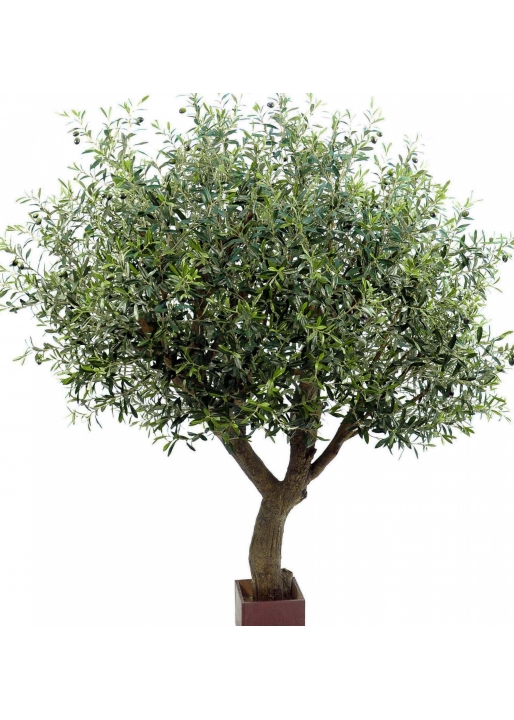 7' Natural Olive Tree Poly Trunk with Fruits 210-270 cm