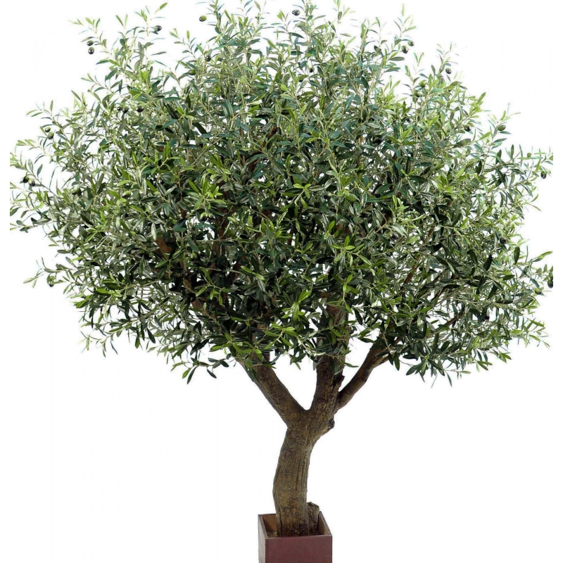 7' Natural Olive Tree Poly Trunk with Fruits 210-270 cm