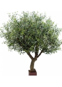 7' Natural Olive Tree Poly Trunk with Fruits 210-270 cm