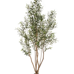 7' Olive Tree w/Fruits Wild Trunk 220 cm