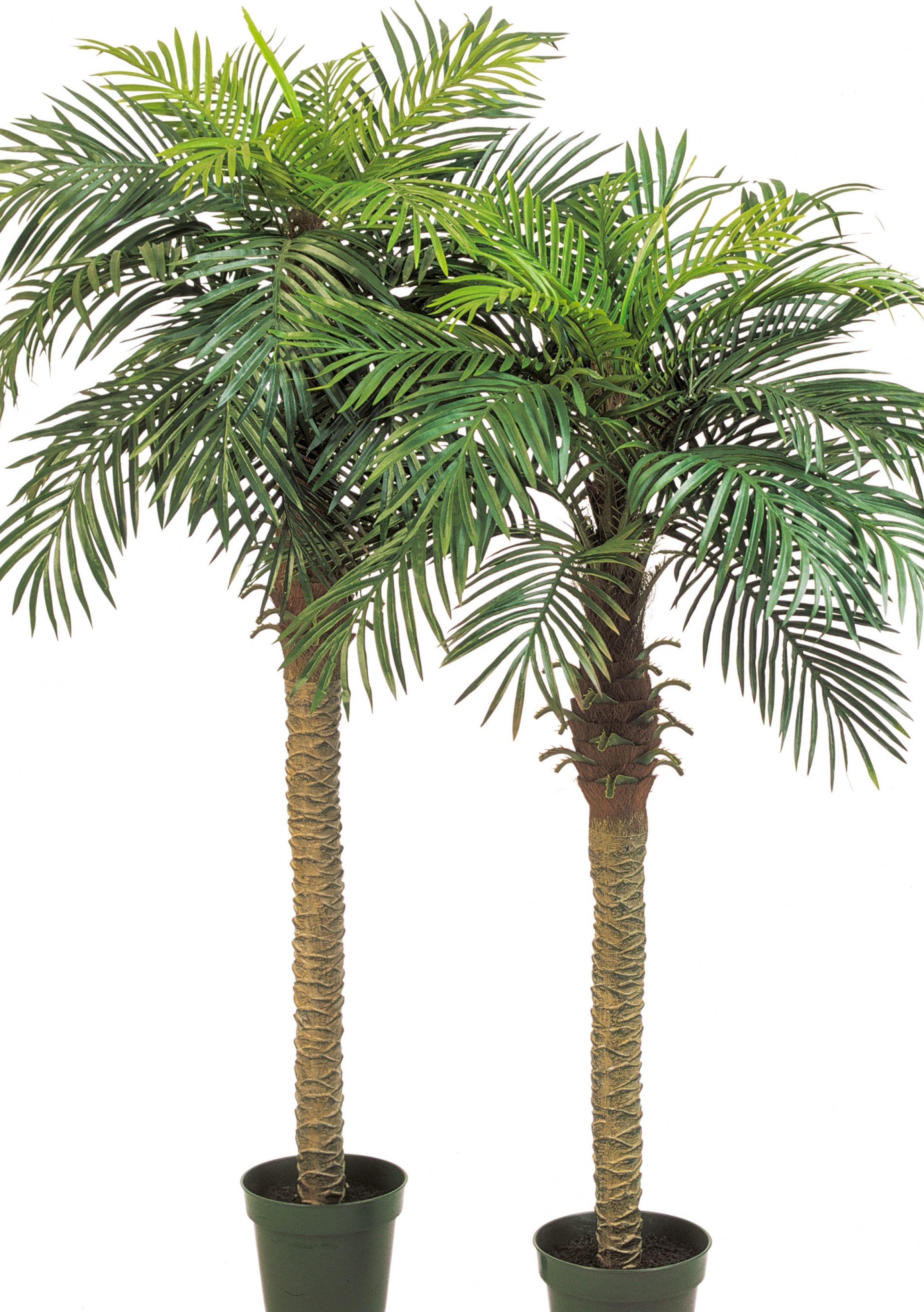 7' PHOENIX PALM PLASTIC LEAF 210-240 cm