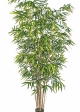 8' NEW BAMBOO BIG LEAF 240-300 cm