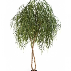 8' WILLOW TREE 240 cm