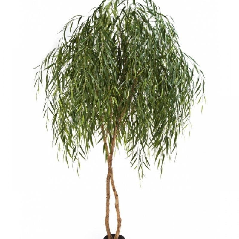8' WILLOW TREE 240 cm