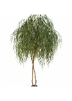 8' WILLOW TREE 240 cm