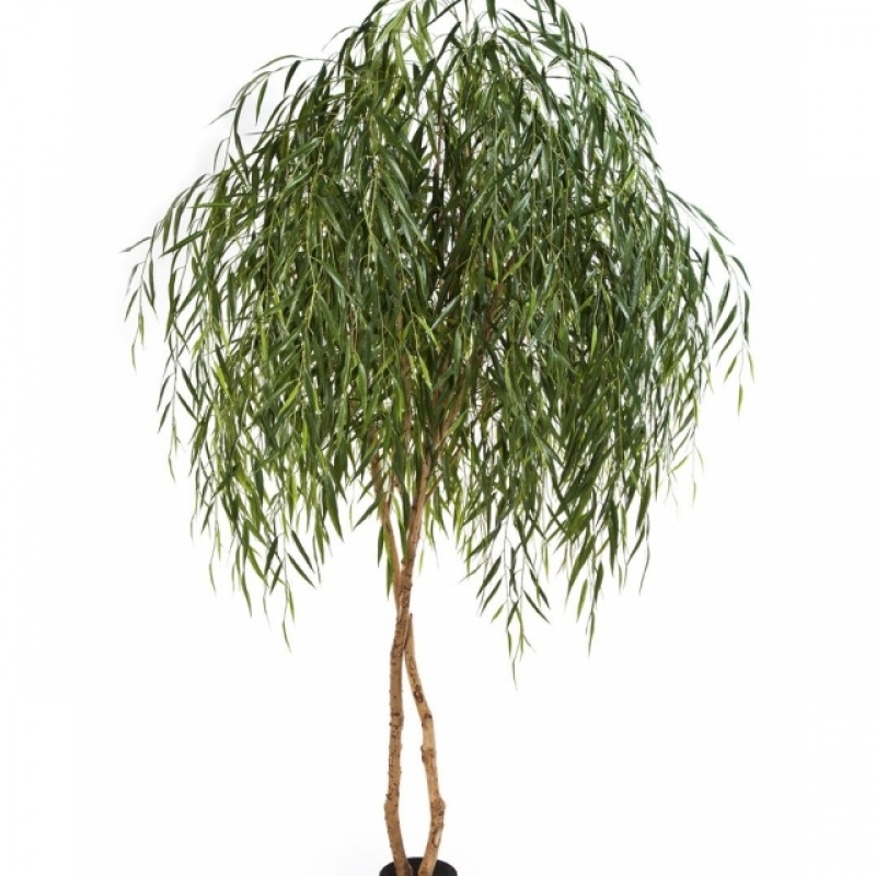 8' WILLOW TREE 240 cm