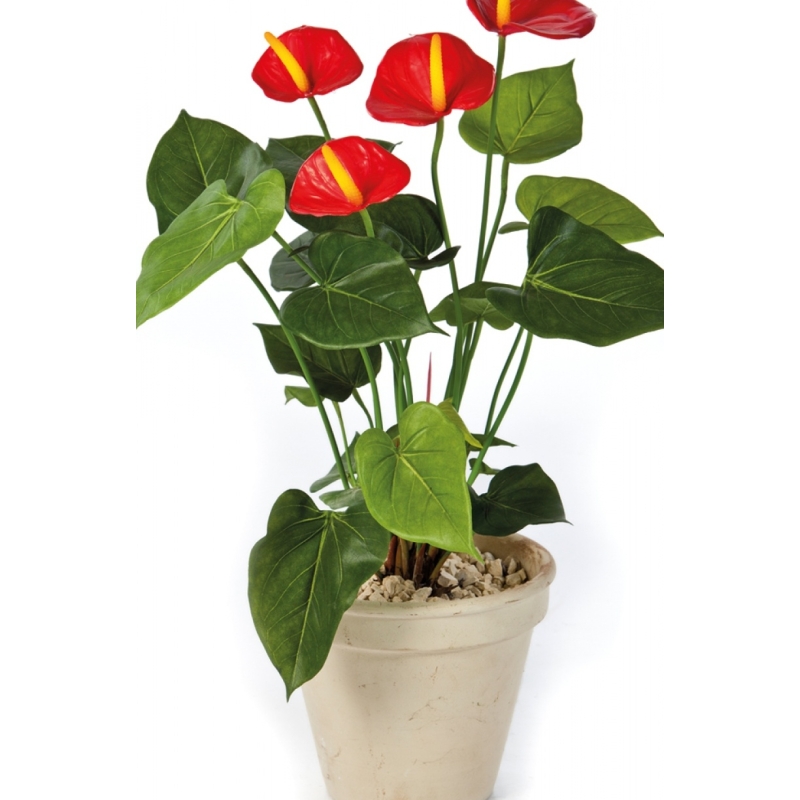 Anthurium de luxe red 56 cm