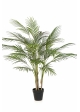 Arecapalm - UV 100 cm