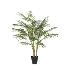 Arecapalm - UV 100 cm