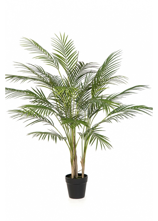 Arecapalm - UV 100 cm