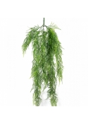 Asparagus Hanging Vine Bush 75 cm
