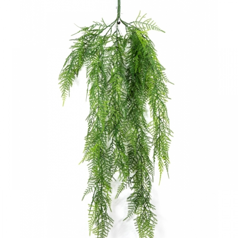Asparagus Hanging Vine Bush 75 cm