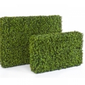 BOXWOOD HEDGE 55X95 CM 55 cm