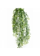 Baby Tear Hanging Bush x 5 70 cm