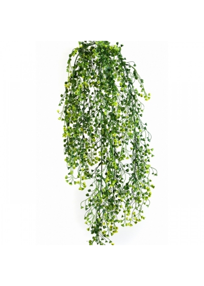 Baby Tear Hanging Bush x 5 70 cm